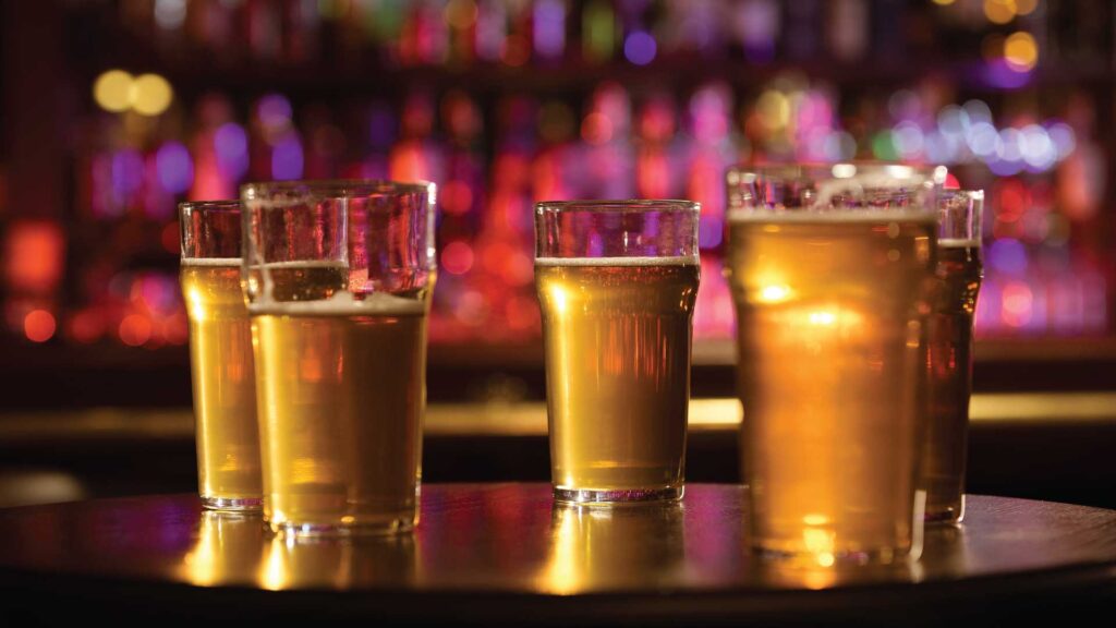 diversity of mexican beers